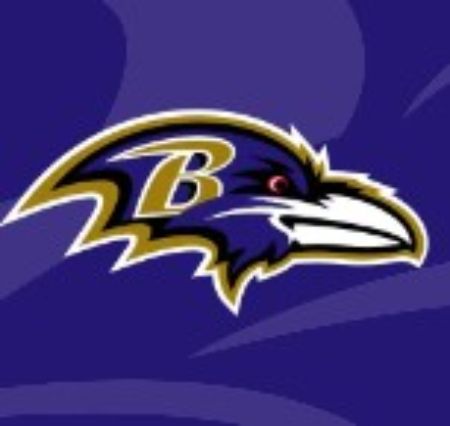 Picture for category Ravens