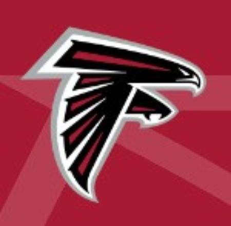 Picture for category Falcons