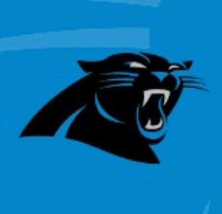 Picture for category Panthers