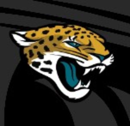 Picture for category Jaguars