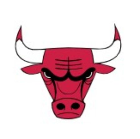 Picture for category Bulls