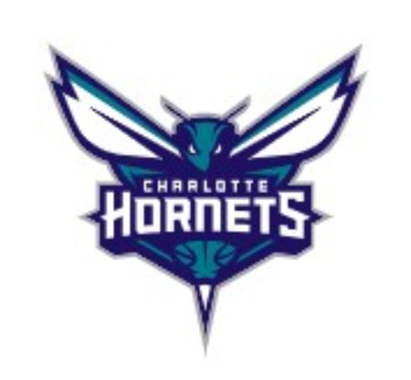 Picture for category Hornets
