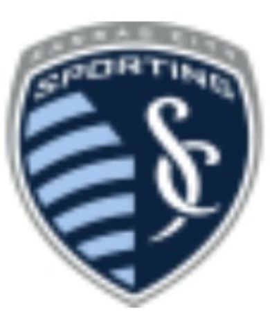 Picture for category Sporting
